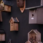 Bosserheide Well (Limburg)