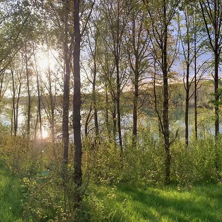 Bosserheide