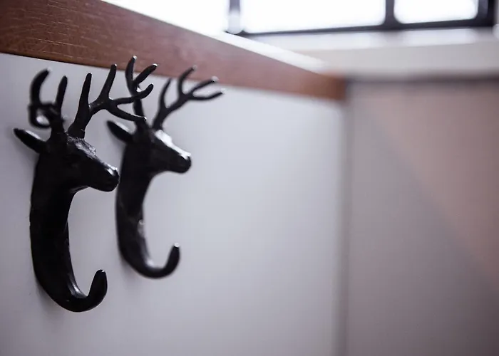 Bosserheide 게스트하우스 3*