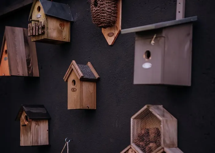 Bosserheide Well (Limburg)