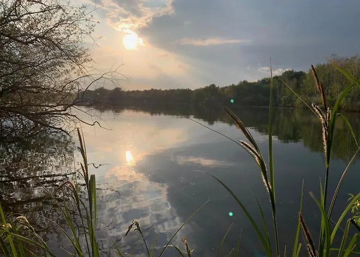 Bosserheide 3* Well (Limburg)